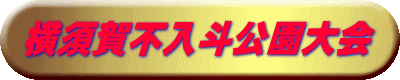 横須賀不入斗公園大会