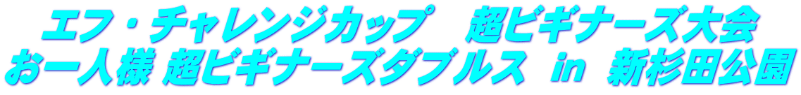 エフ・チャレンジカップ　超ビギナーズ大会 お一人様 超ビギナーズダブルス  ｉｎ  新杉田公園