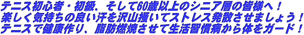 テニス初心者・初級、そして60歳以上のシニア層の皆様へ！ 楽しく気持ちの良い汗を沢山掻いてストレス発散させましょう！ テニスで健康作り、脂肪燃焼させて生活習慣病から体をガード！