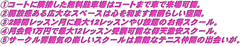 ①コートに隣接した無料駐車場はコートまで車で来場可能。 ②開放感ある広大なスペースは心を和ます素晴らしい空間。 ③2時間レッスン月に最大12レッスンやり放題のお得スクール。 ④月会費１万円で最大１２レッスン受講可能な仰天激安スクール。 ⑤サークル雰囲気の楽しいスクールは素敵なテニス仲間の出会いが。