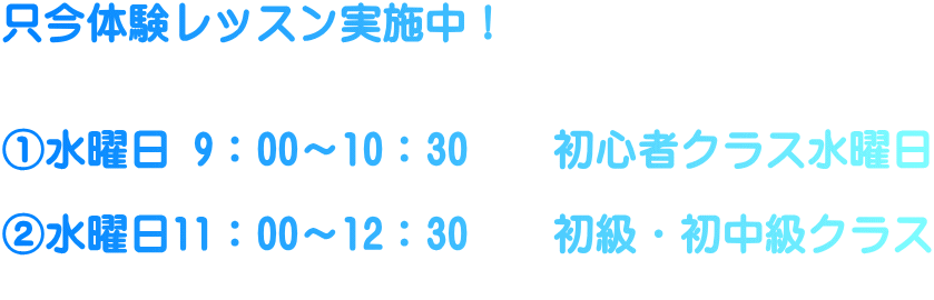 横須賀 不入斗公園 テニススクール 人気テニススクール Top 横須賀 不入斗公園 テニススクール 人気テニススクール Top